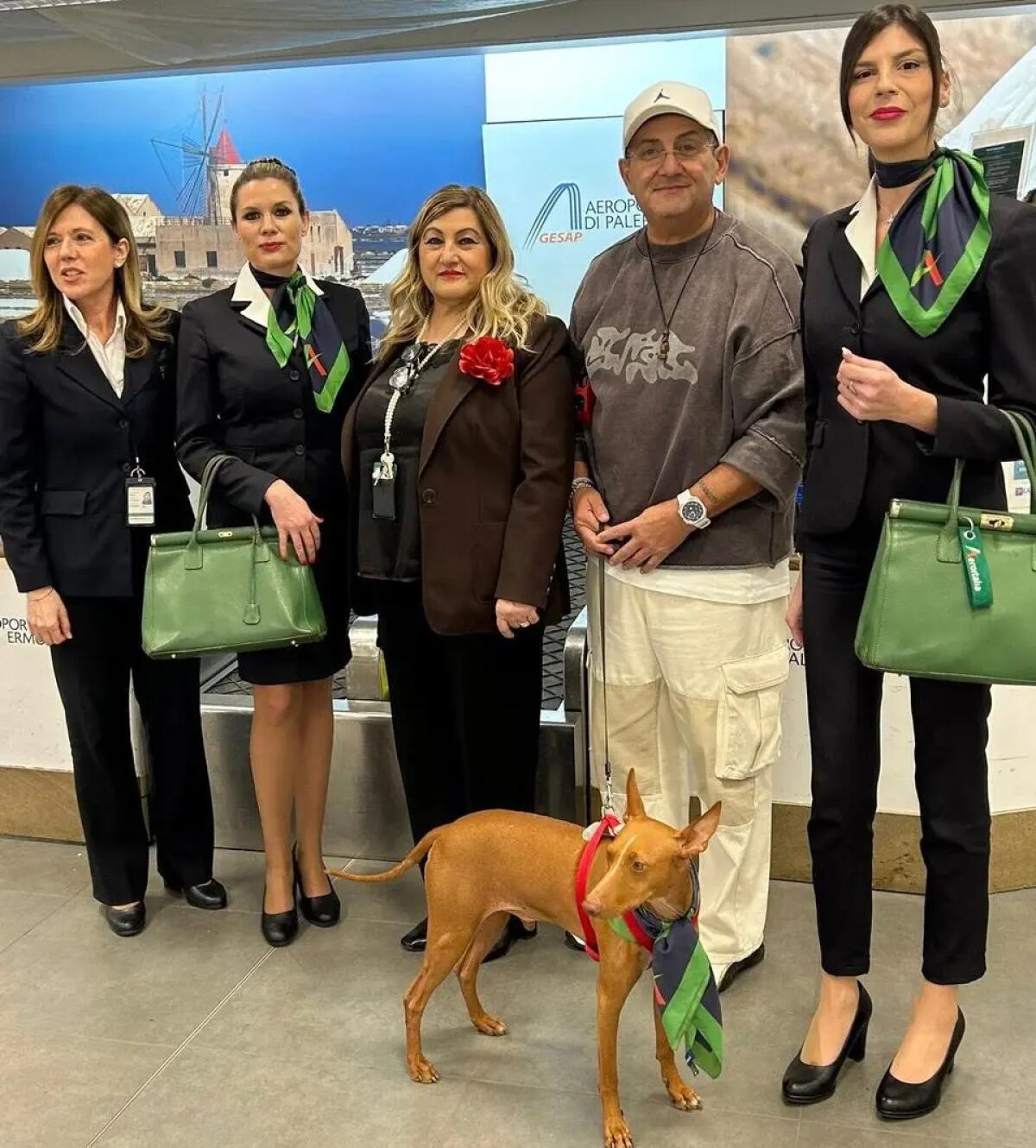 Volo test di Aeroitalia da Palermo per il trasporto di cani di grossa taglia - 