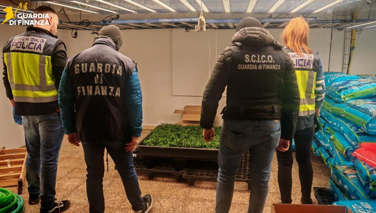 Stroncato un traffico internazionale di droga tra Italia e Spagna, 12 arresti / Video - 