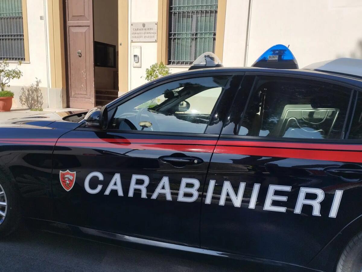 Trapani, rogo distrusse 83 ettari di bosco: arrestato dipendente di una struttura dipartimentale della Regione / Video - 