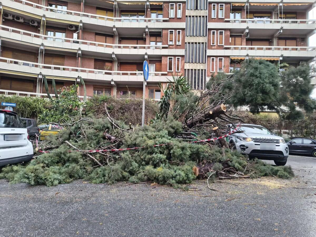 Maltempo: a Palermo 132 interventi dei Vigili del Fuoco per troppo vento, a Messina chiuso tratto autostrada A18 - 