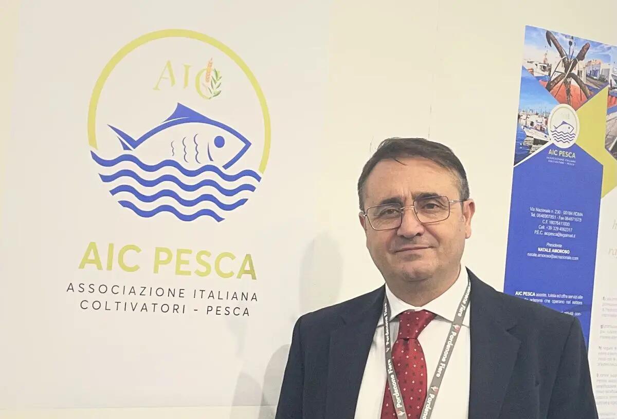 Favignana, Amoroso (AIC Pesca) “Impianto MedWind insostenibile, necessario un confronto” - 