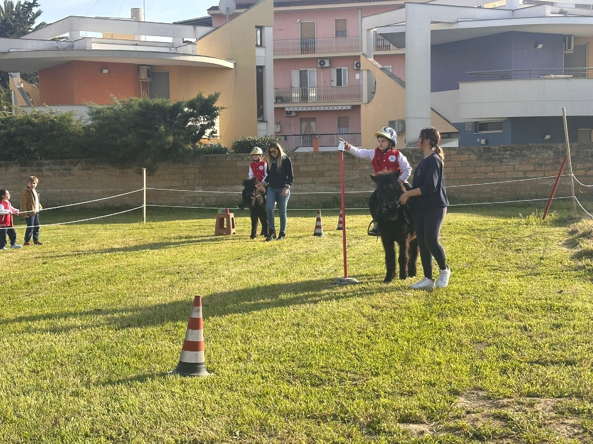 Dal pony alla certificazione Cambridge: il don Minozzi unisce emozioni e competenze - 