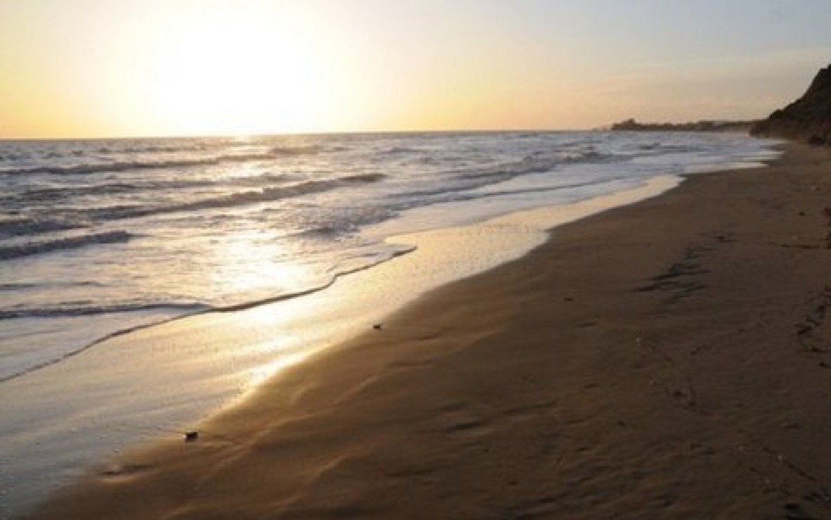 Cadavere in spiaggia, sul posto capitaneria di porto e pm - 