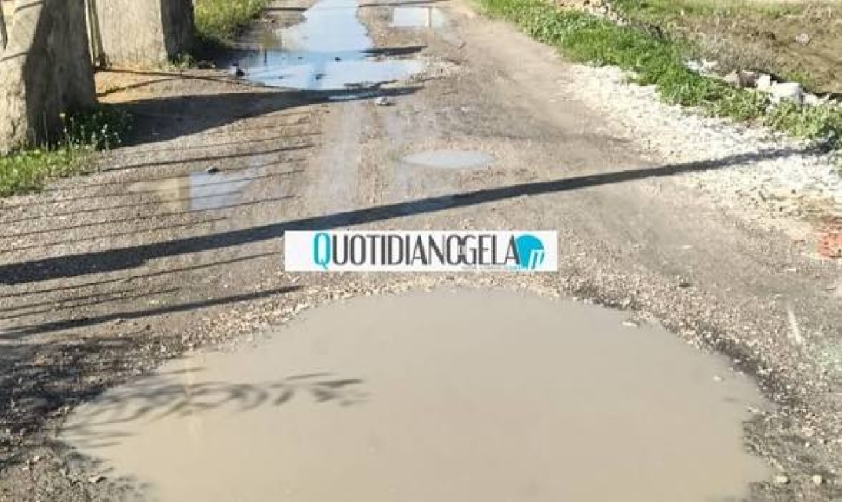 Via Del Cotone, Irti: "Dopo le mie segnalazioni iniziano i lavori per il manto stradale" - 