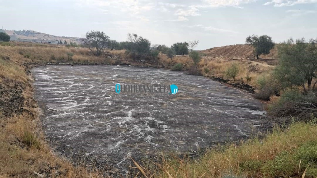 Idrocarburi e rifiuti pericolosi, passo lento per le due ex discariche: in Regione nominato nuovo rup - Una delle ex discariche