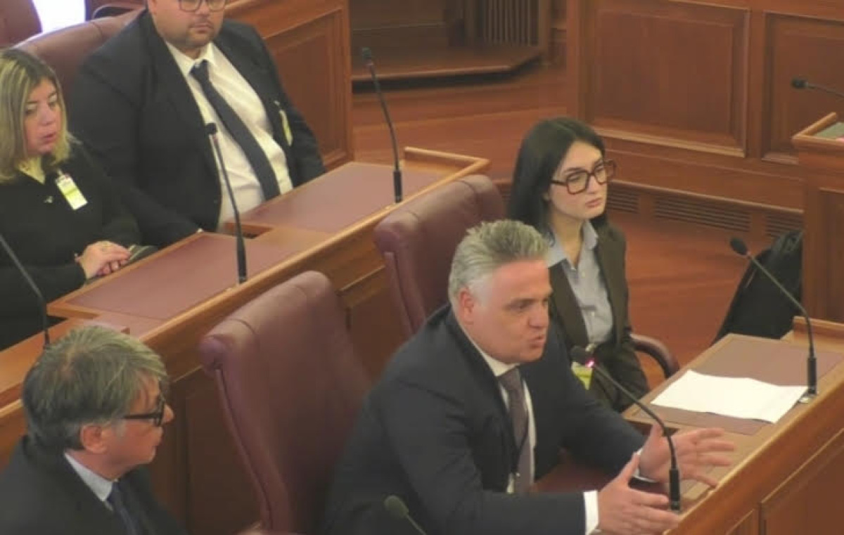 Conseguenze frana, comitato in Senato: "Danni enormi alle attività economiche" - I rappresentanti in audizione