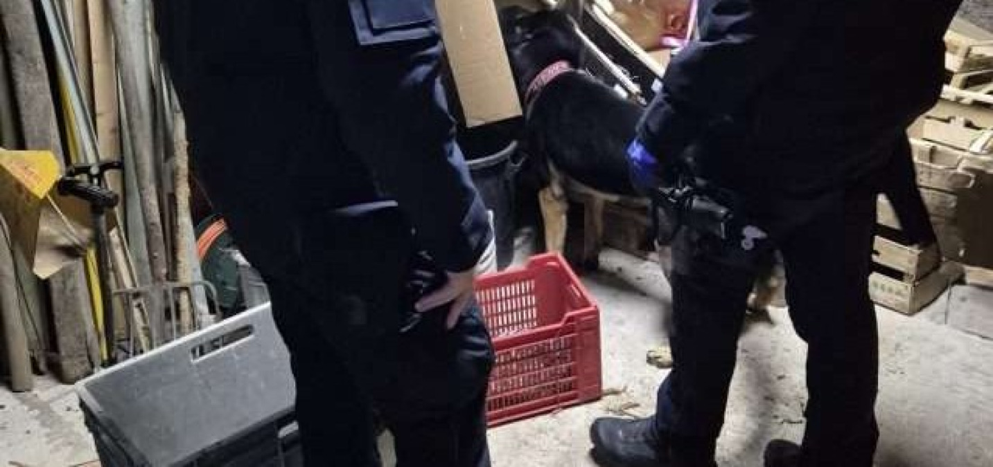 Droga in casa quando viveva in Piemonte, "perdono giudiziale" per un minore: "Ha cambiato vita" - 