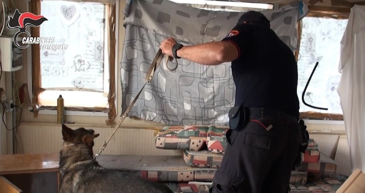 Indagine "White sheep", armi e droga: revocati domiciliari a uno dei coinvolti  - 