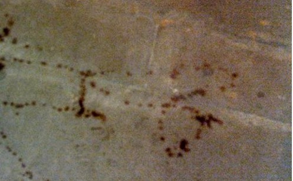 Violenza e sangue a Caposoprano, in una lite in un bar coltellata a un ventenne: è in ospedale - 