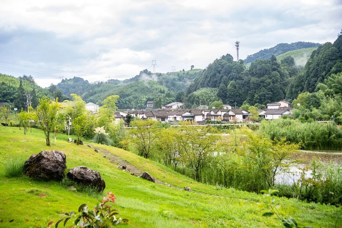 Cina, obiettivo accelerare sullo sviluppo sostenibile nel prossimo quinquennio - 