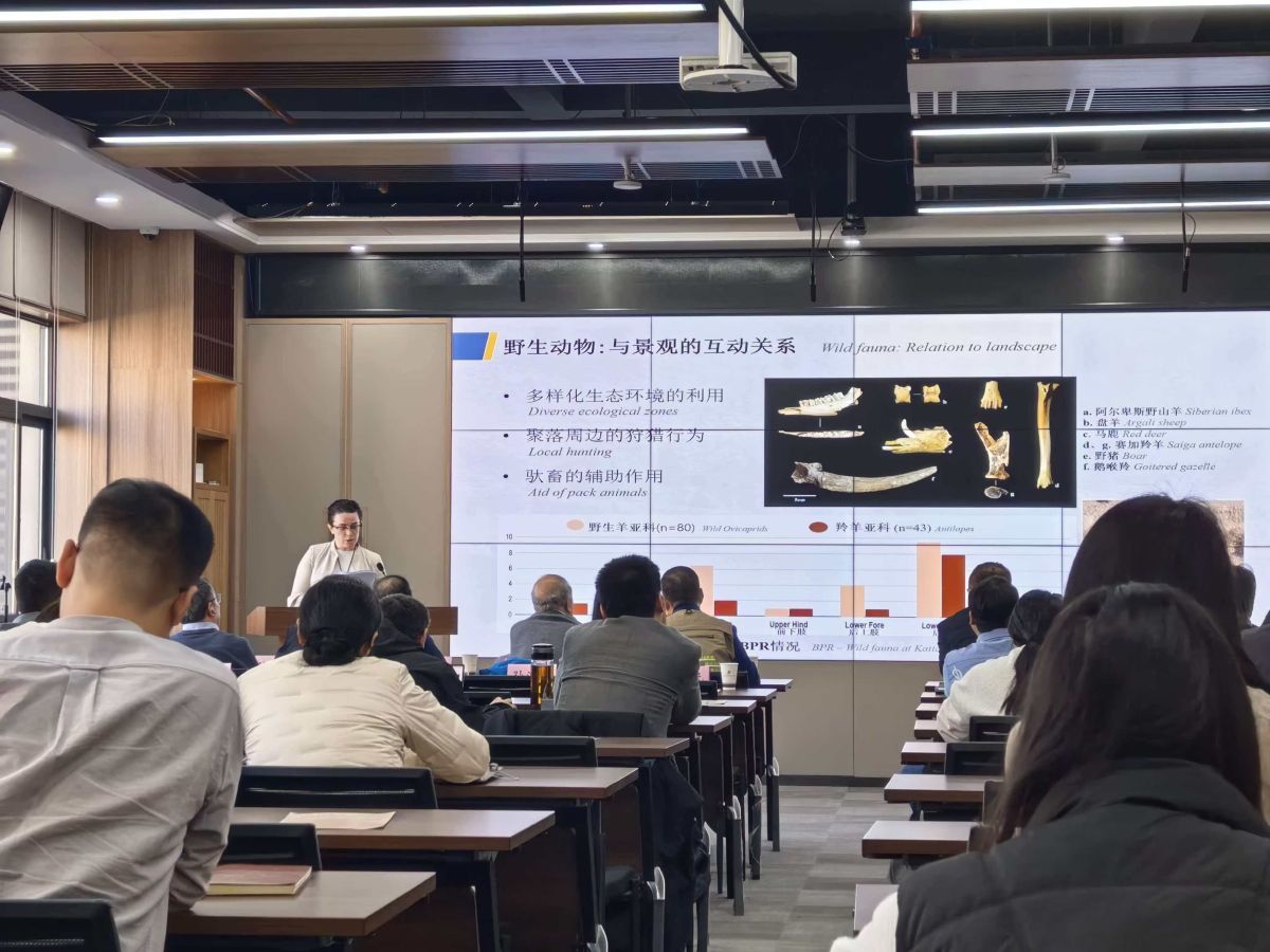 Cina: dall’Italia a Xi’an, il viaggio di un’archeologa lungo la Via della seta - 