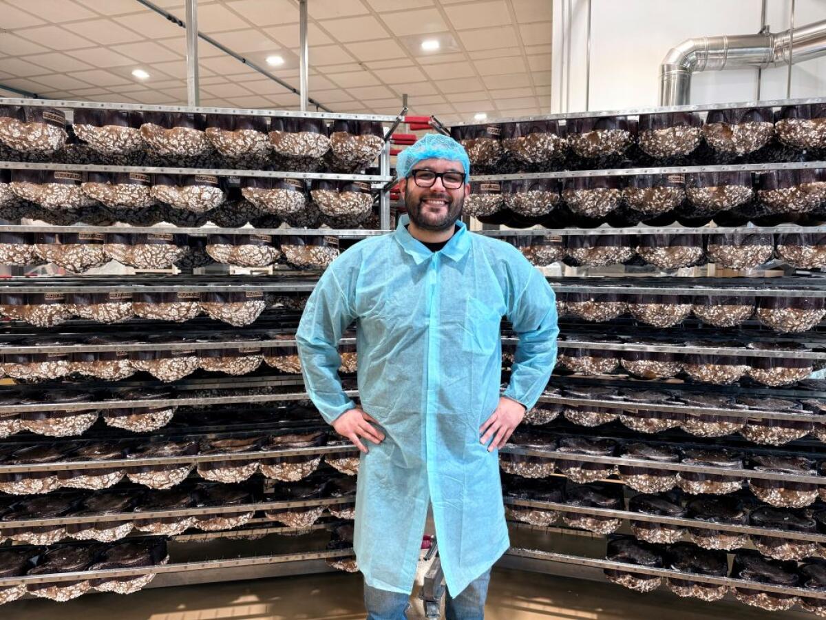 Dolci pasquali, a Tomarchio la certificazione Lfree - 