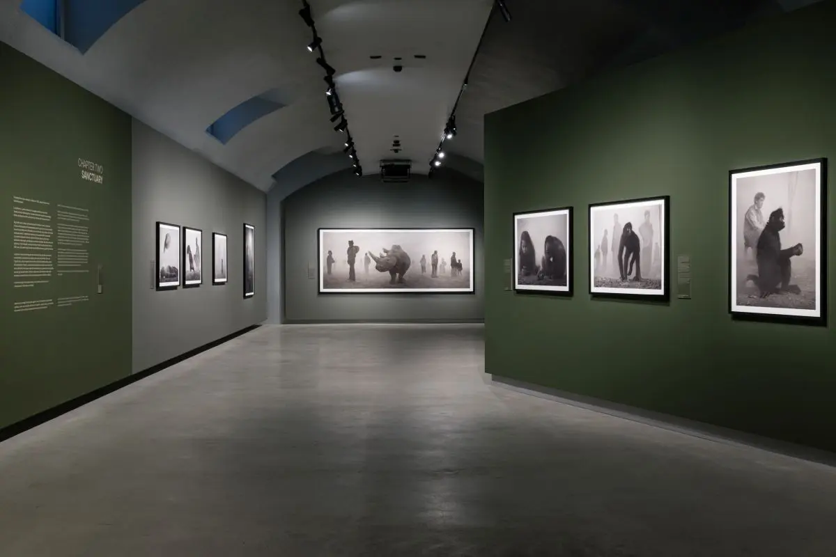 Alle Gallerie d’Italia di Torino la mostra “Nick Brandt” - 
