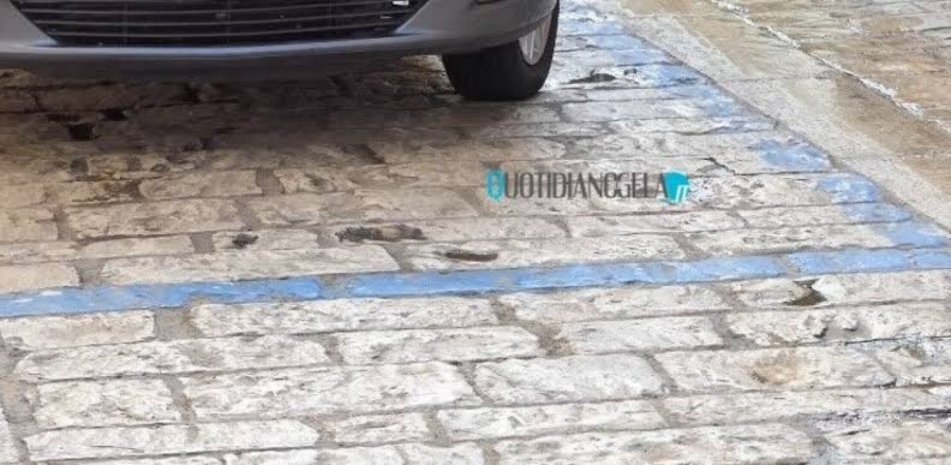 Strisce blu e parcheggi, Ghelas ha inoltrato il business plan per il servizio  - 