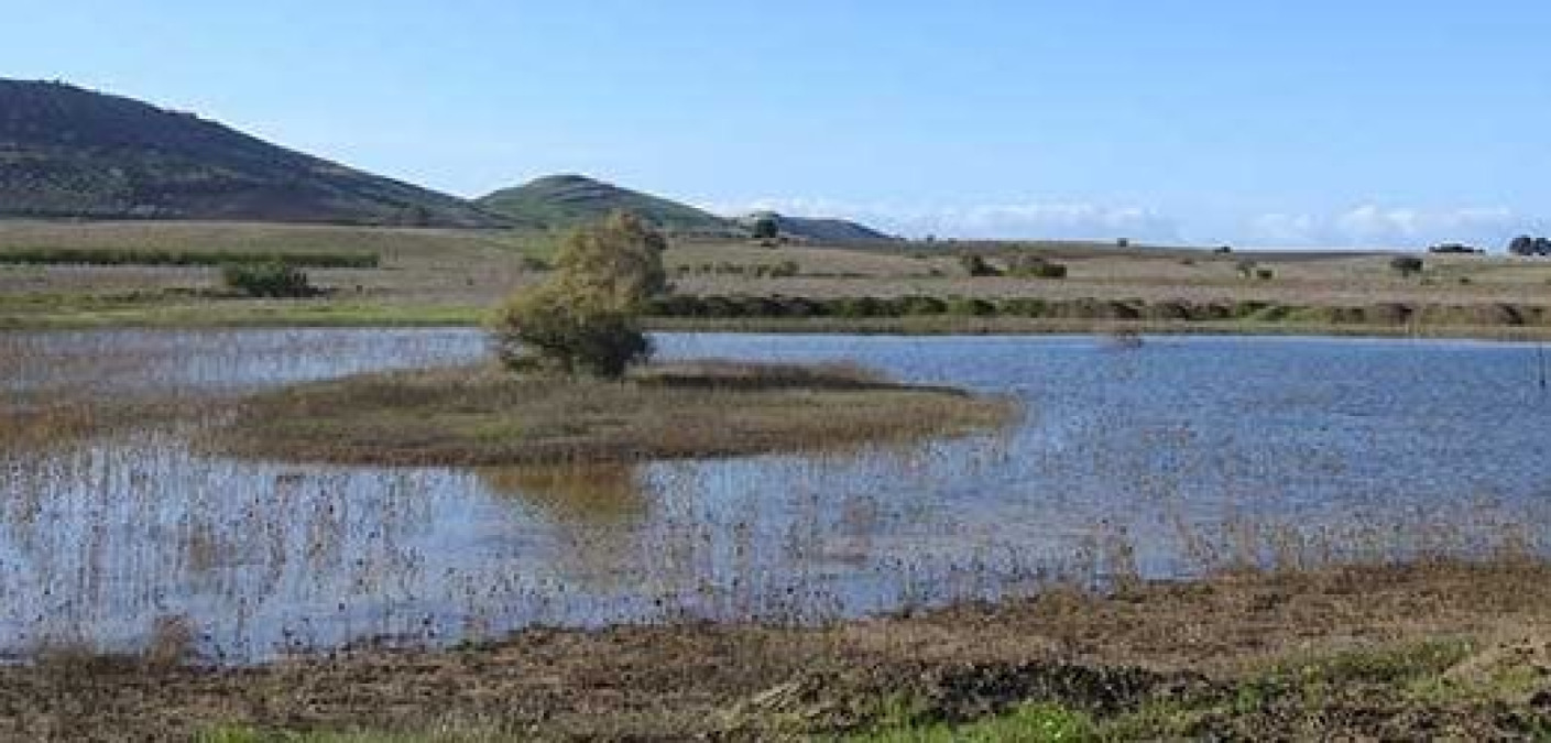 Danneggiamenti e bossoli d'arma in una riserva, accuse a un operaio: è a giudizio - L'area "Geloi Wetland"