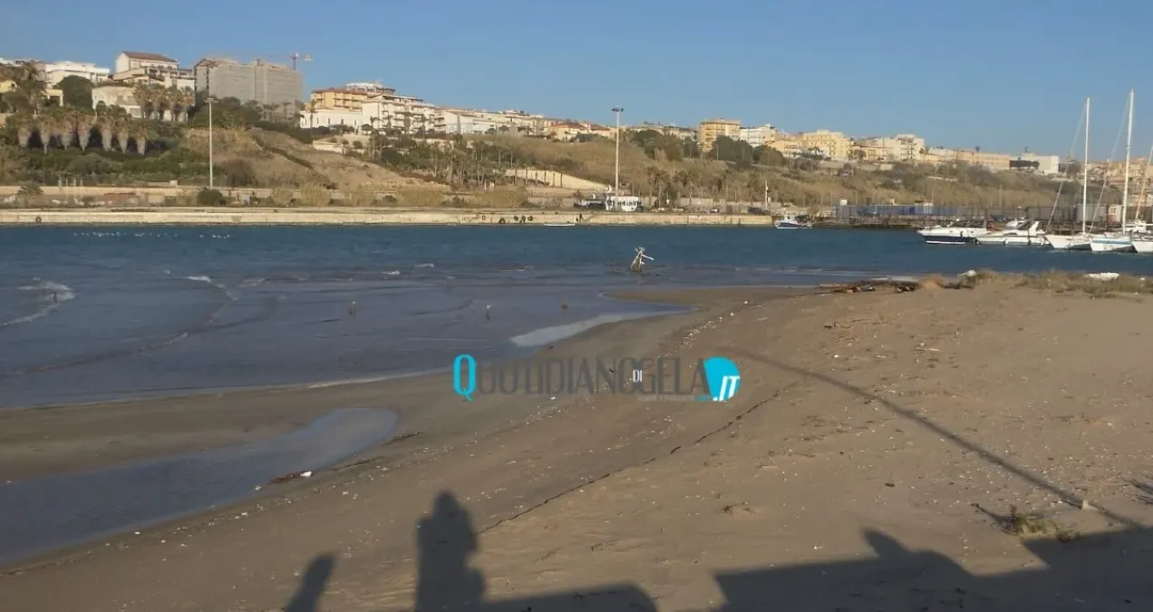 Porto, silenzio Autorità: Di Stefano, "chiesto nuovo incontro, senza risposte pretenderò restituzione dei 4 milioni" - 