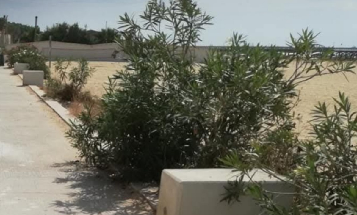 Decoro urbano, FI: "Amministrazione indichi un piano preciso" - 