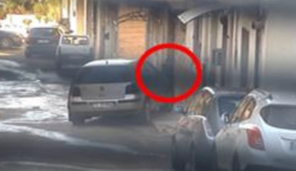 Musto capace di intercedere a Gela, "malato di malavita": intervenne per contesa su piazze di spaccio - 