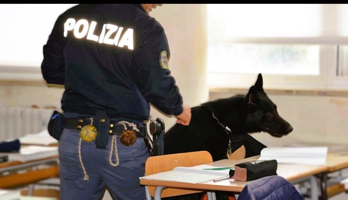 Controlli nelle scuole di Caltanissetta e Niscemi, sequestrati droga e coltelli - 