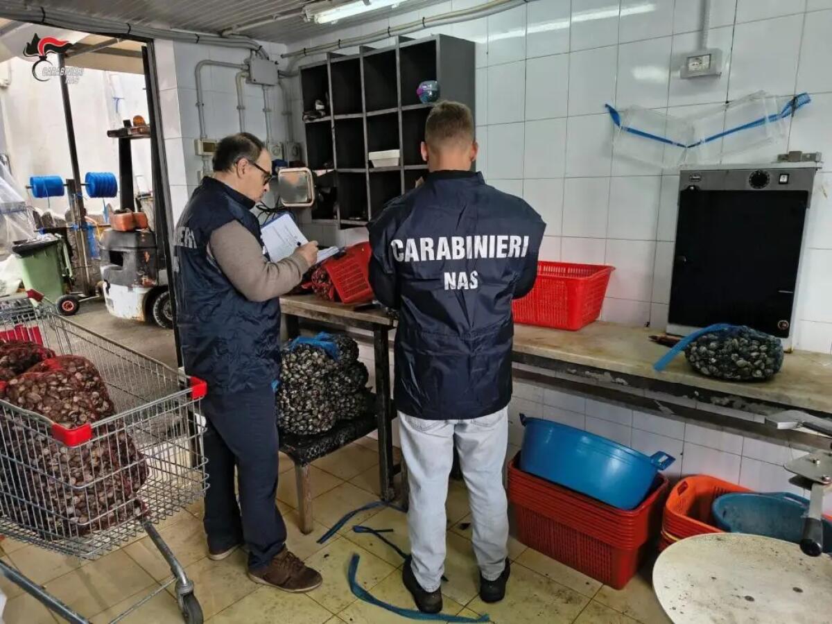Blitz dei NAS di Palermo, sequestrati 450 kg di cozze e ostriche a rischio - 
