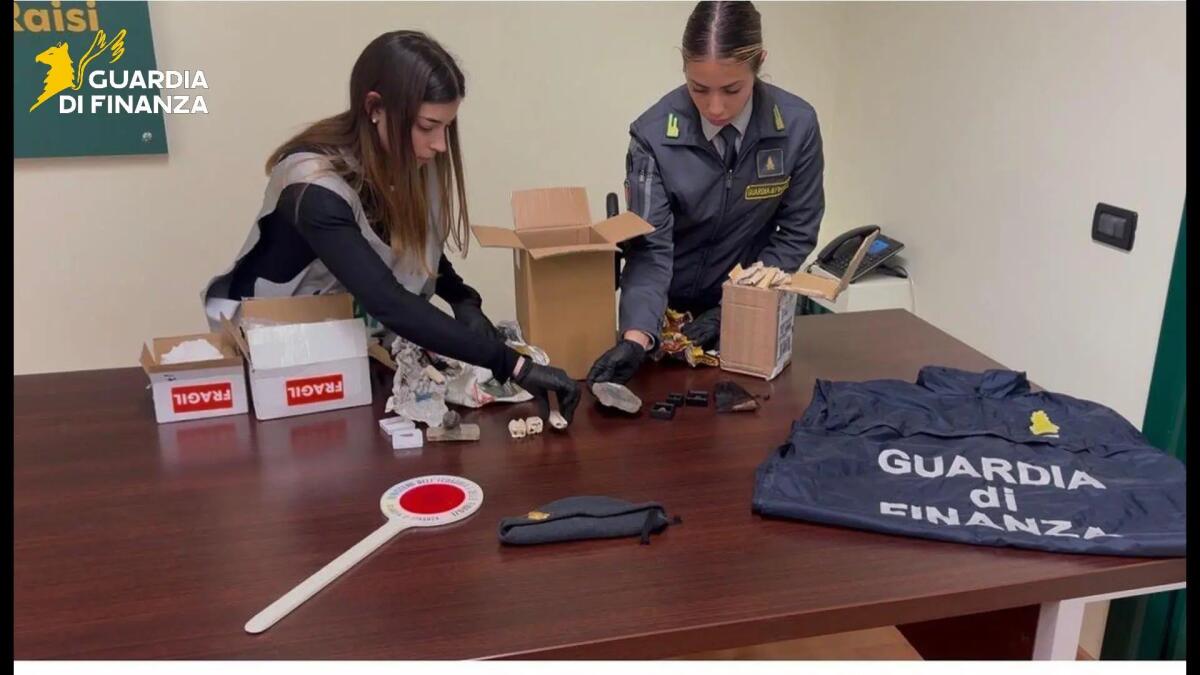 Palermo, sequestrati 17 reperti fossili risalenti a 50 milioni di anni fa / Video - 