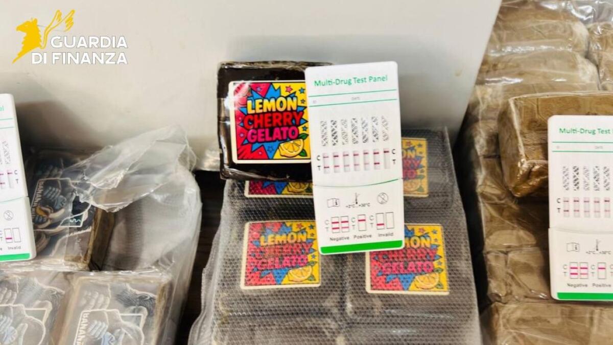 Droga tra Caltanissetta e Agrigento, sequestrati 23 kg di hashish e marijuana - 
