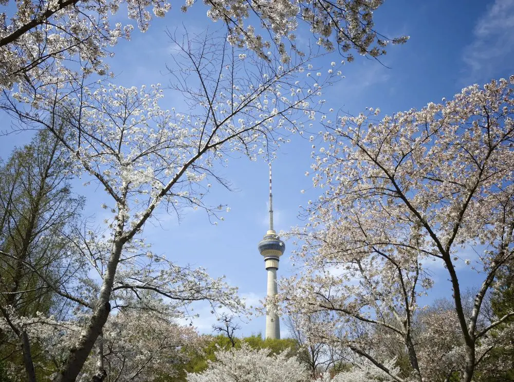 Pechino, quasi eliminate le giornate con livello “grave” di inquinamento - 