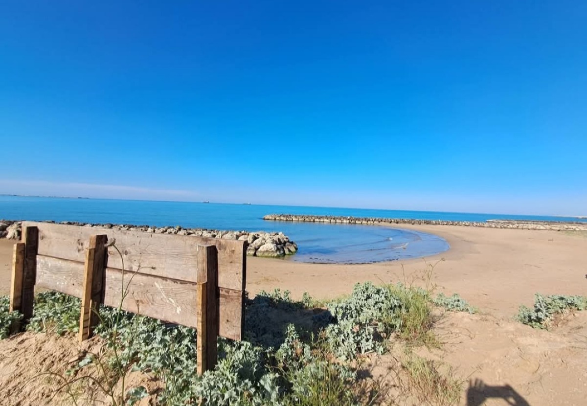 Giardini "Demetra e Kore", mozione civici: "Comune riconosca area e impegno volontari" - 