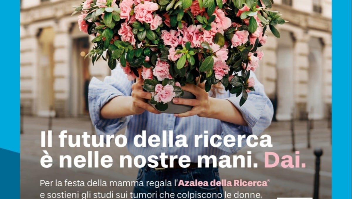 Per la festa della mamma torna l'iniziativa AIRC "Azalee della Ricerca” - 