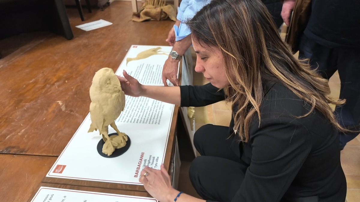 Niscemi, al Museo Civico nuovi percorsi tattili e tecnologie per non vedenti e ipovedenti - 