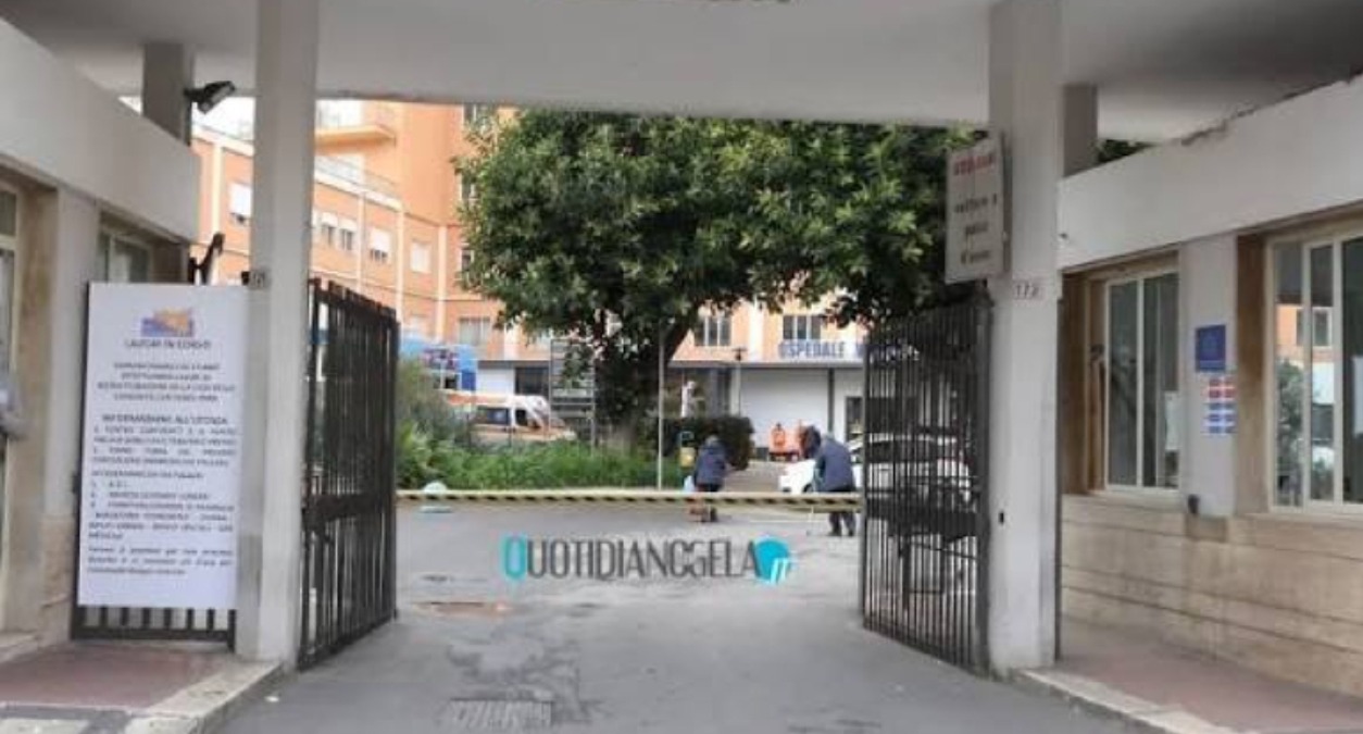 Faraone ai ministeri: "A Gela mancano centro diabetologia pediatrica e supporto psicologico" - 
