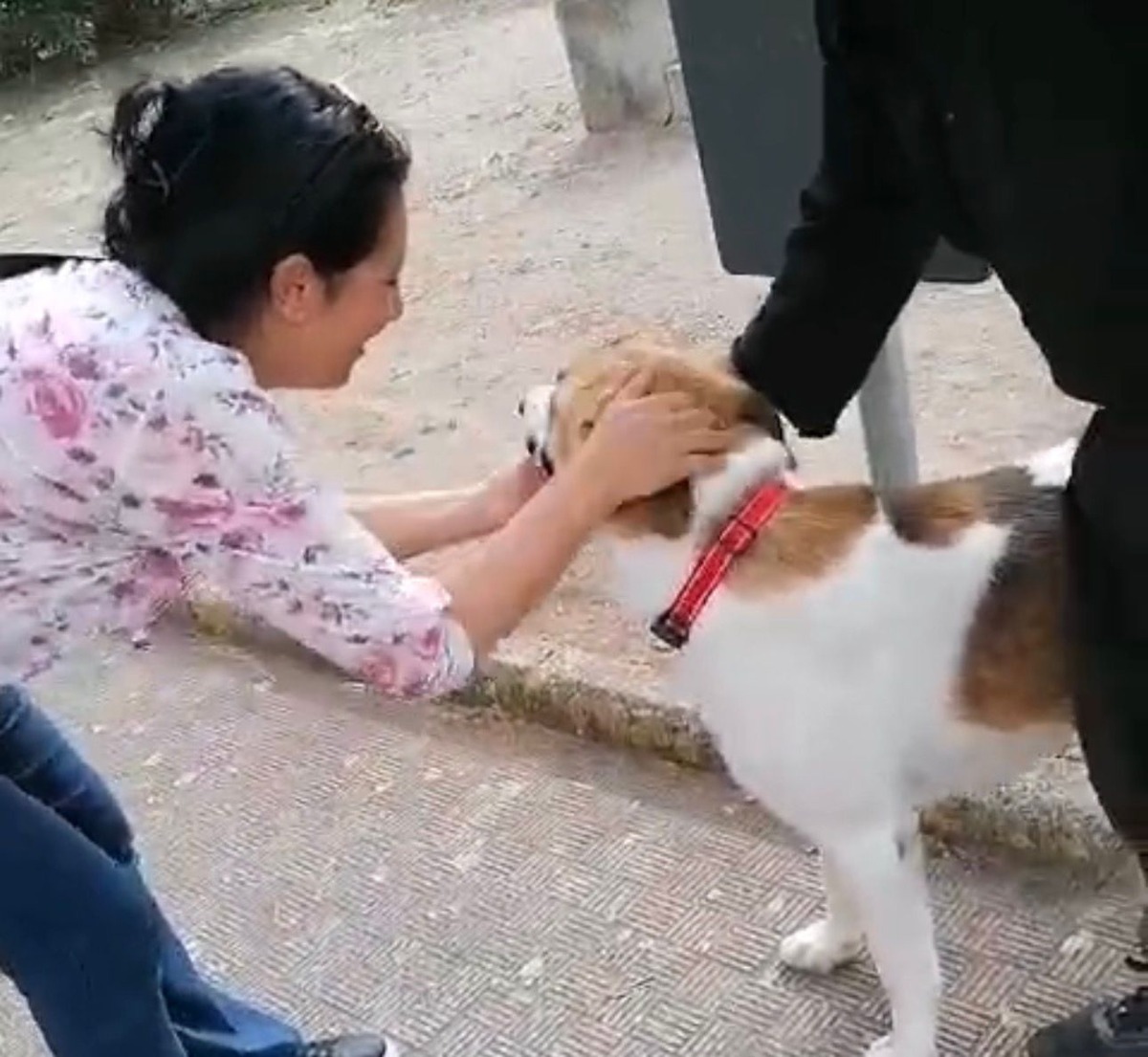 A Butera Bobbylaus torna libero: il cane simbolo di Piazza Europa torna nel suo quartiere - 