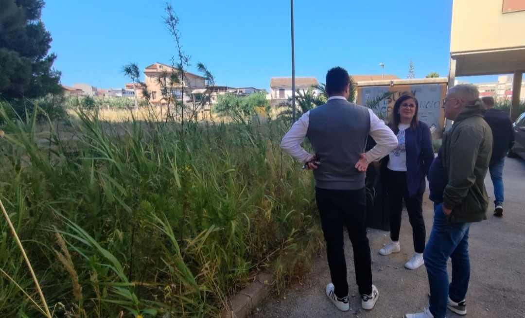 Verde incolto, sopralluoghi e verifiche: interventi programmati  - 