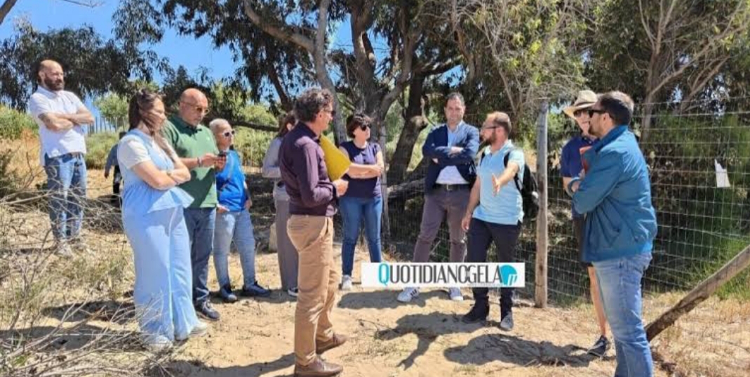 Poggio Arena, ancora stallo sull'accesso: nuovi esposti  - 