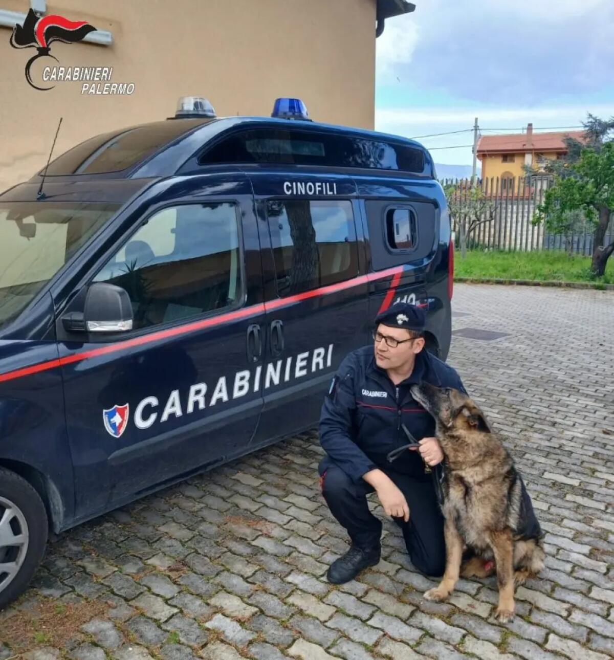 A Palermo va in pensione il cane antidroga Ron - 