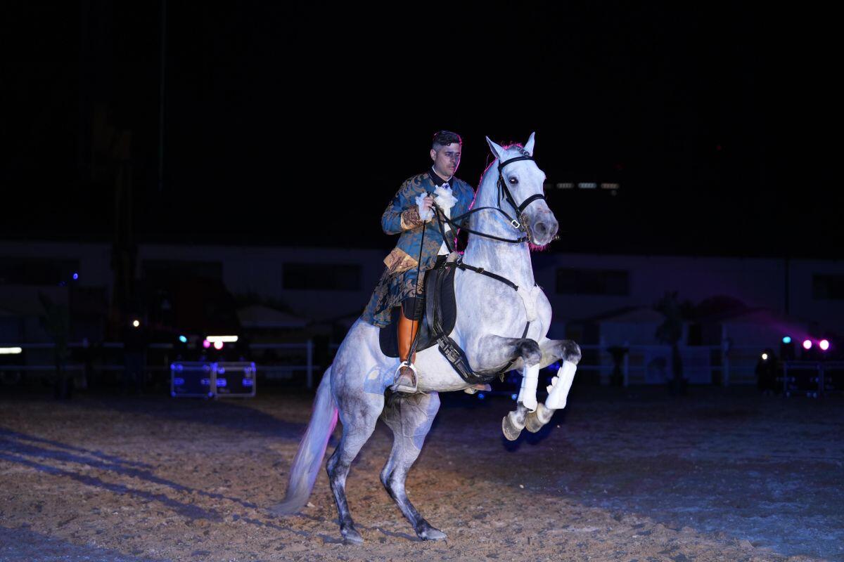 Conclusa alla Tenuta Ambelia la 7^ Fiera Mediterranea del Cavallo - 