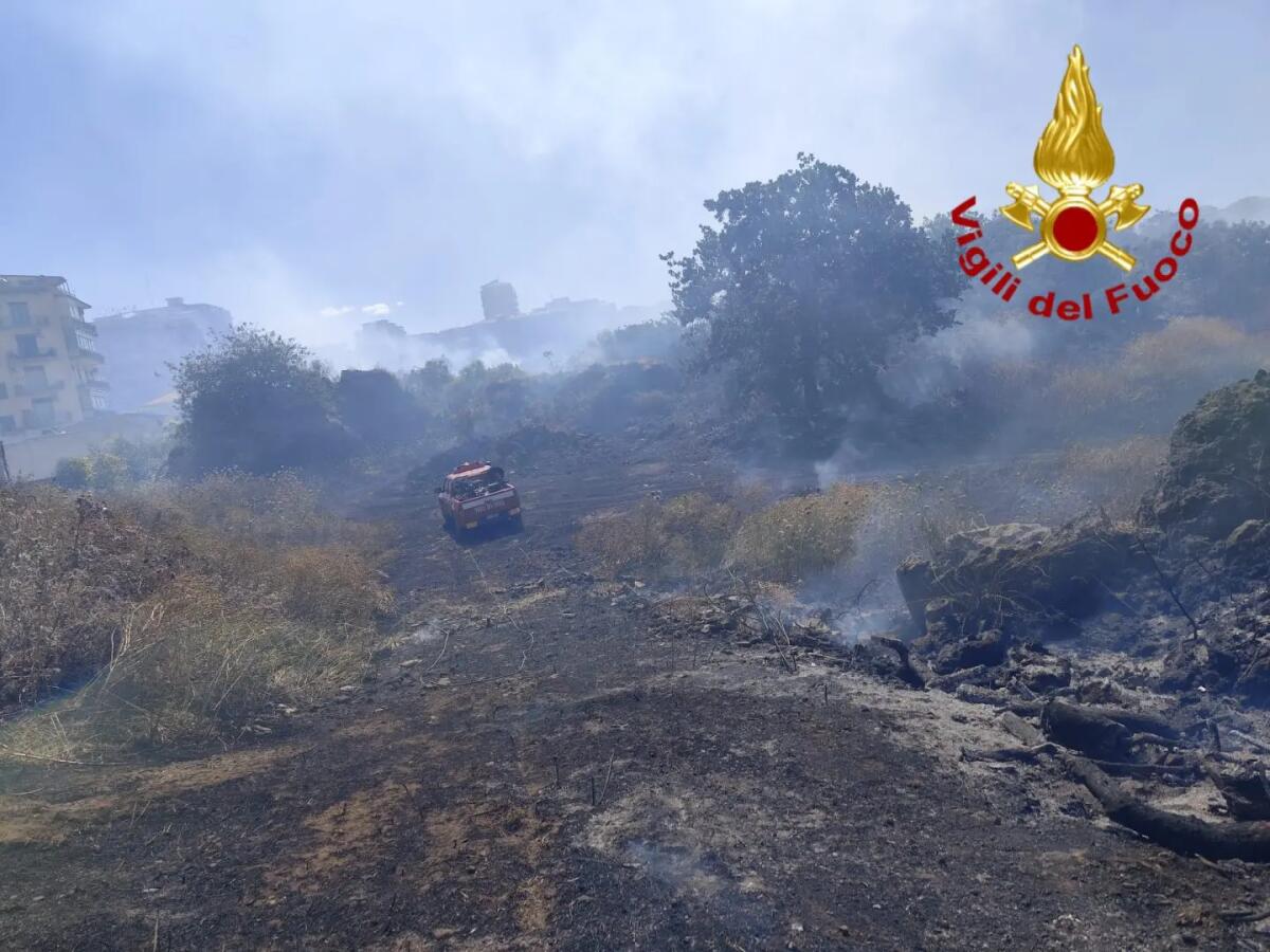 Incendio a Catania, vasto rogo di sterpaglie nell’area della “Susanna” - 