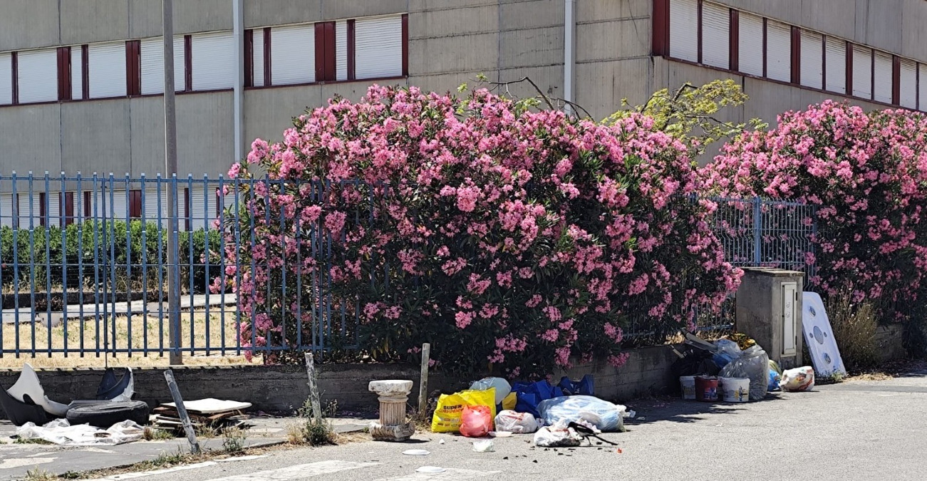 Albani Roccella, dopo la pulizia condotta dai volontari ancora rifiuti abbandonati - 