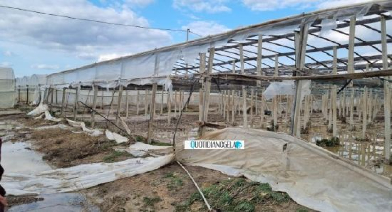 Coltivazioni distrutte dal ciclone "Helios", aziende risarcite: "Regione non effettuò manutenzioni" - I danni causati nelle zone rurali gelesi