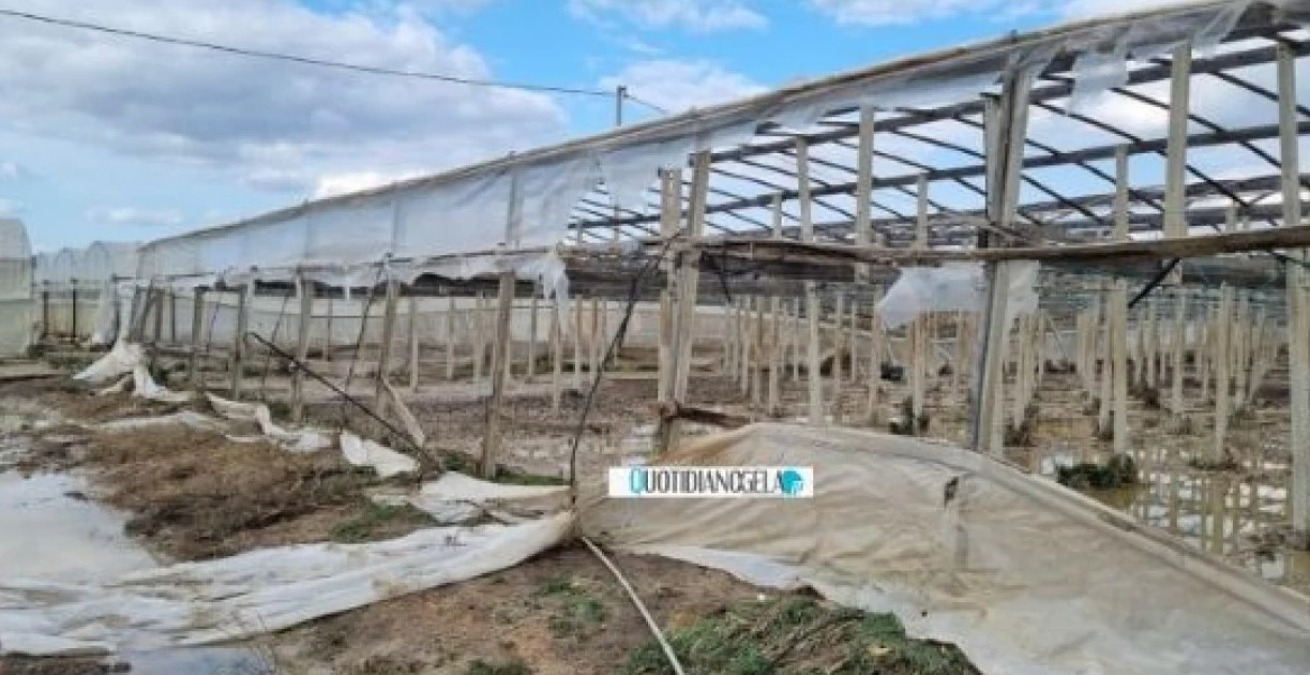 Danni nelle campagne locali con il ciclone "Helios", pagati i risarcimenti per cinque milioni di euro - 
