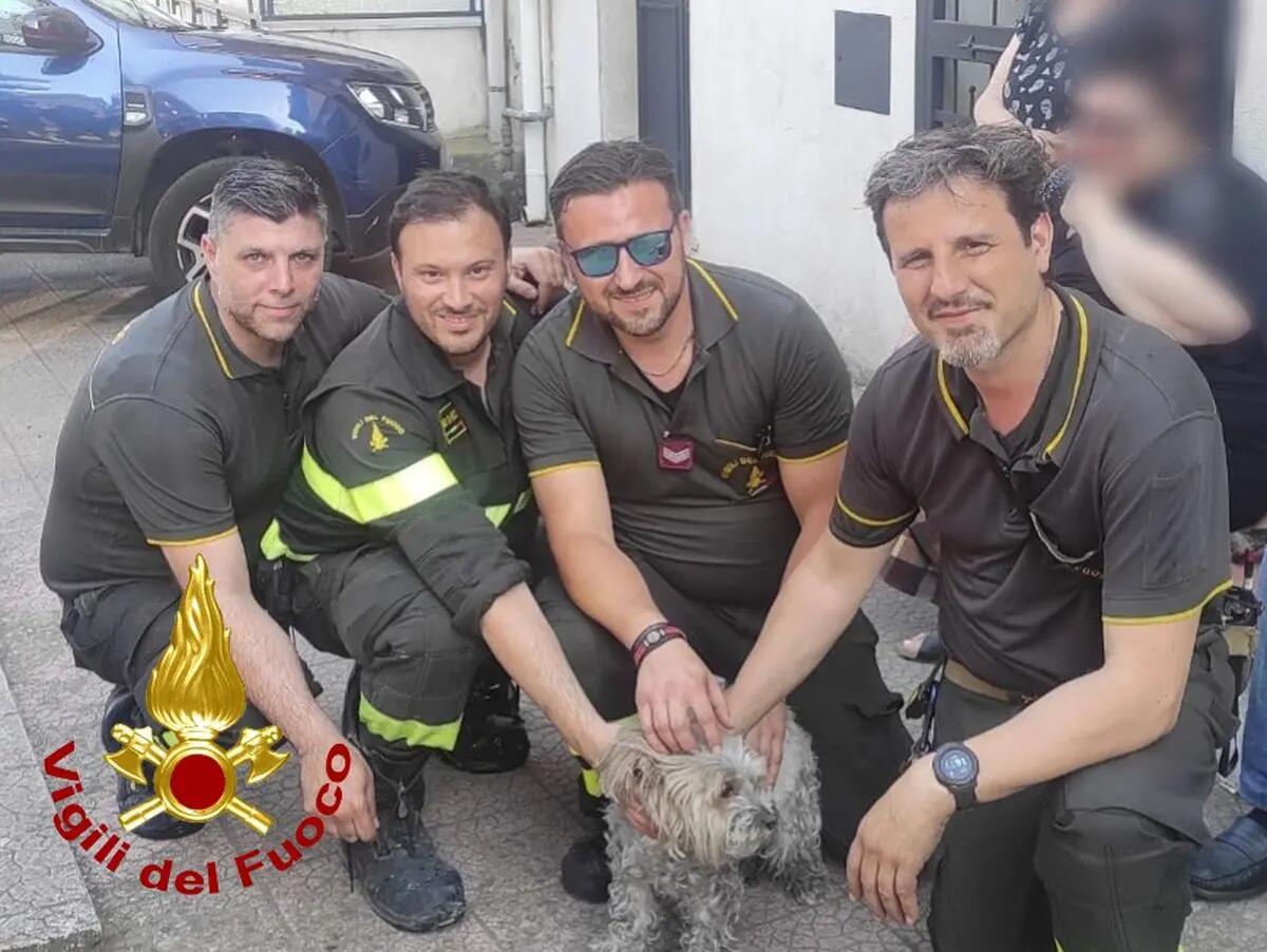Incendio in una palazzina nel Catanese, salvate due persone e una cagnolina - 