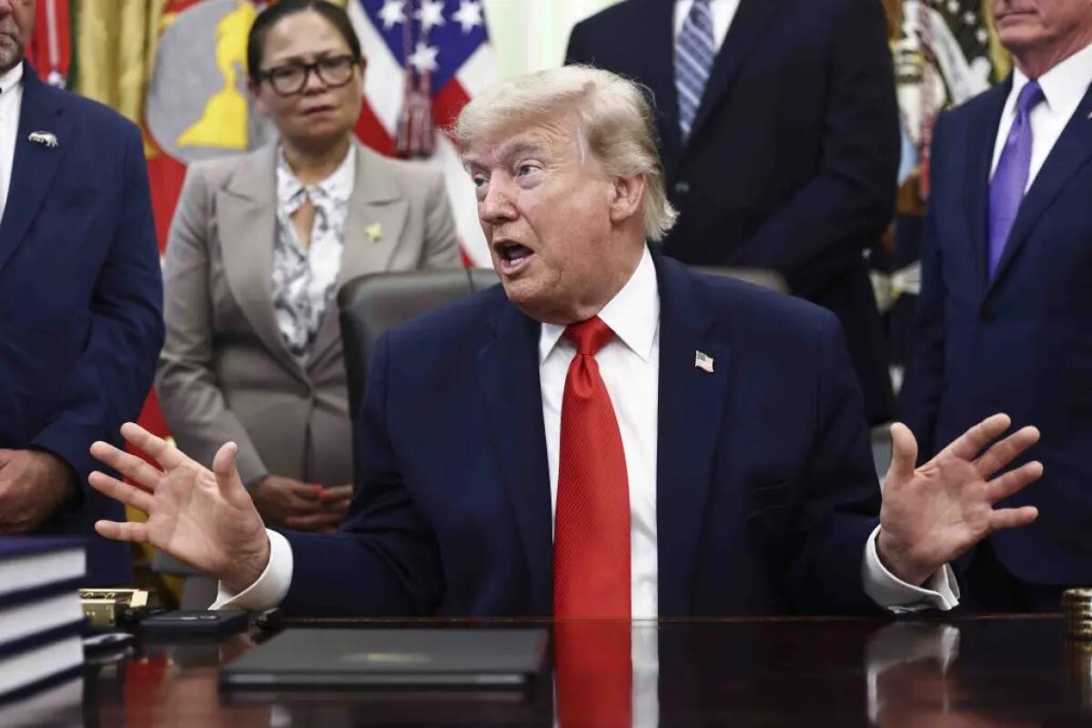 Trump festeggia gli 80 anni alla Casa Bianca con l’evento Ufc Freedom 250 - 