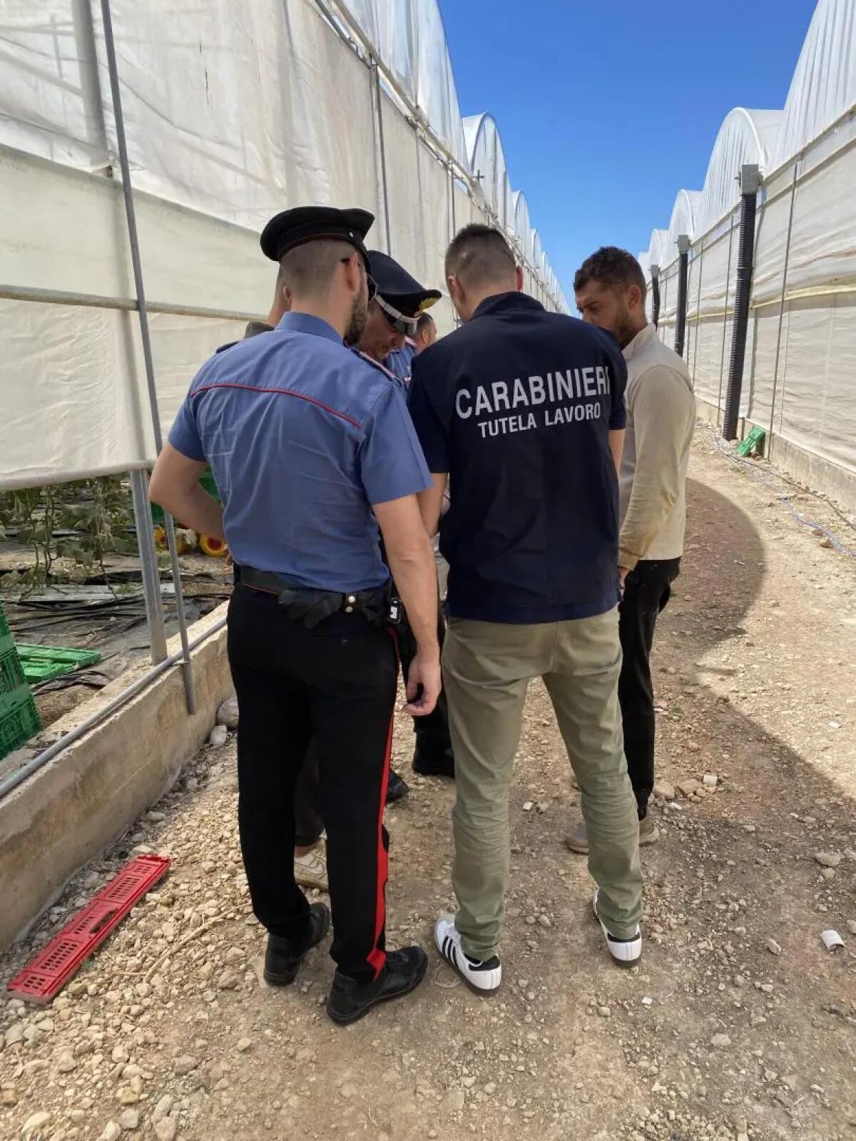 Lotta al caporalato, 15 datori di lavoro denunciati e 5 attività sospese nel Palermitano - 
