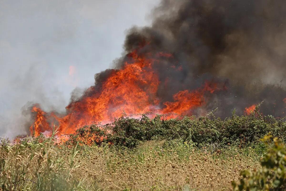 Un incendio devasta Montagna Grande nel Trapanese, in tre giorni bruciati 600 ettari di bosco - 