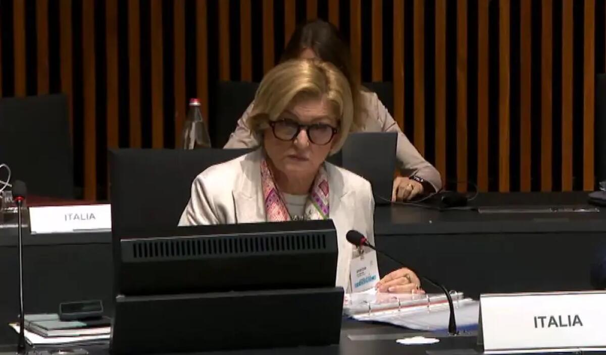 Calderone “Tutela dei lavoratori è pilastro fondamentale dell’Europa” - 
