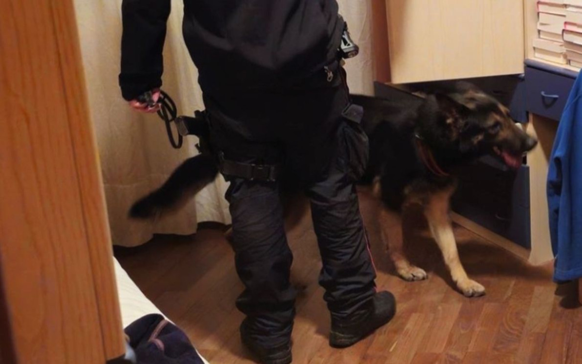 Pistola e proiettili nella loro abitazione, un'assoluzione: giudizio va avanti per una donna - 