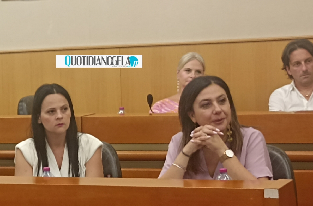 Opposizione valuta l'operato dell'assessore Fava, toni accesi e l'ipotesi della mozione di censura - Consiglieri d'opposizione