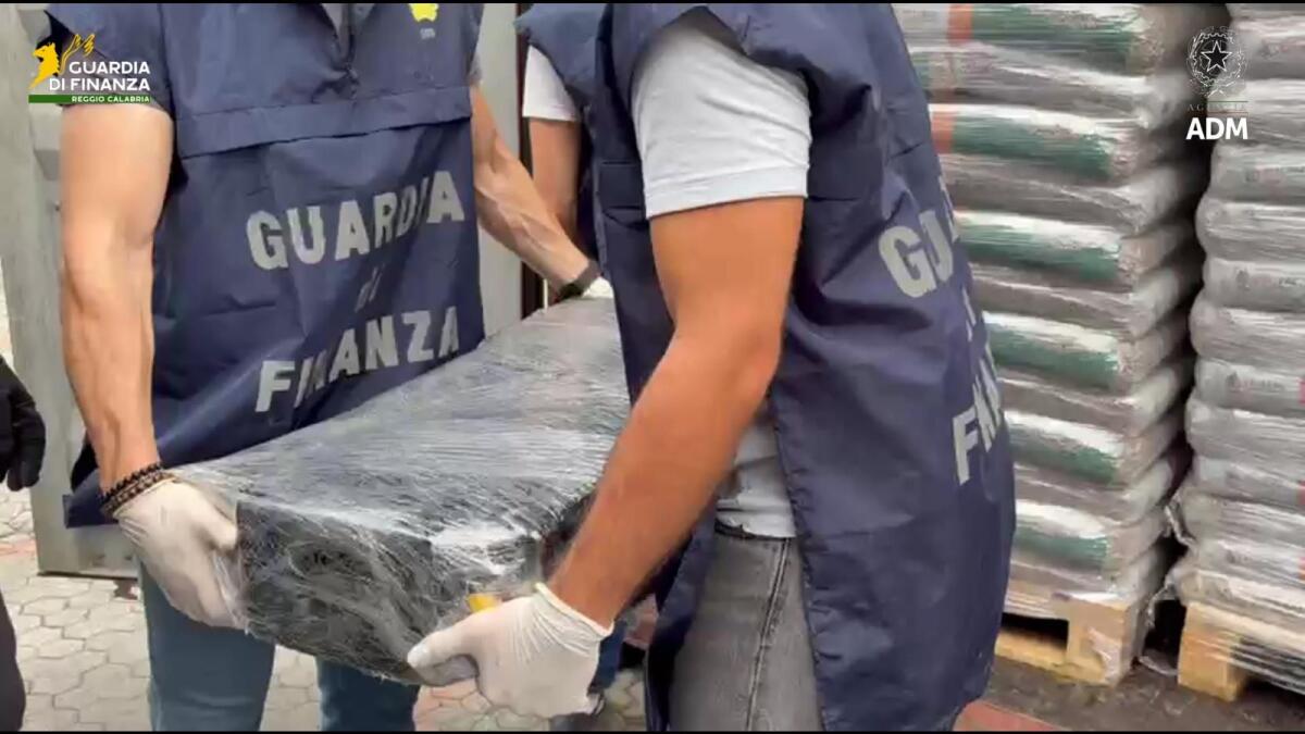 Sequestrati al porto di Gioia Tauro 113 kg di cocaina - 