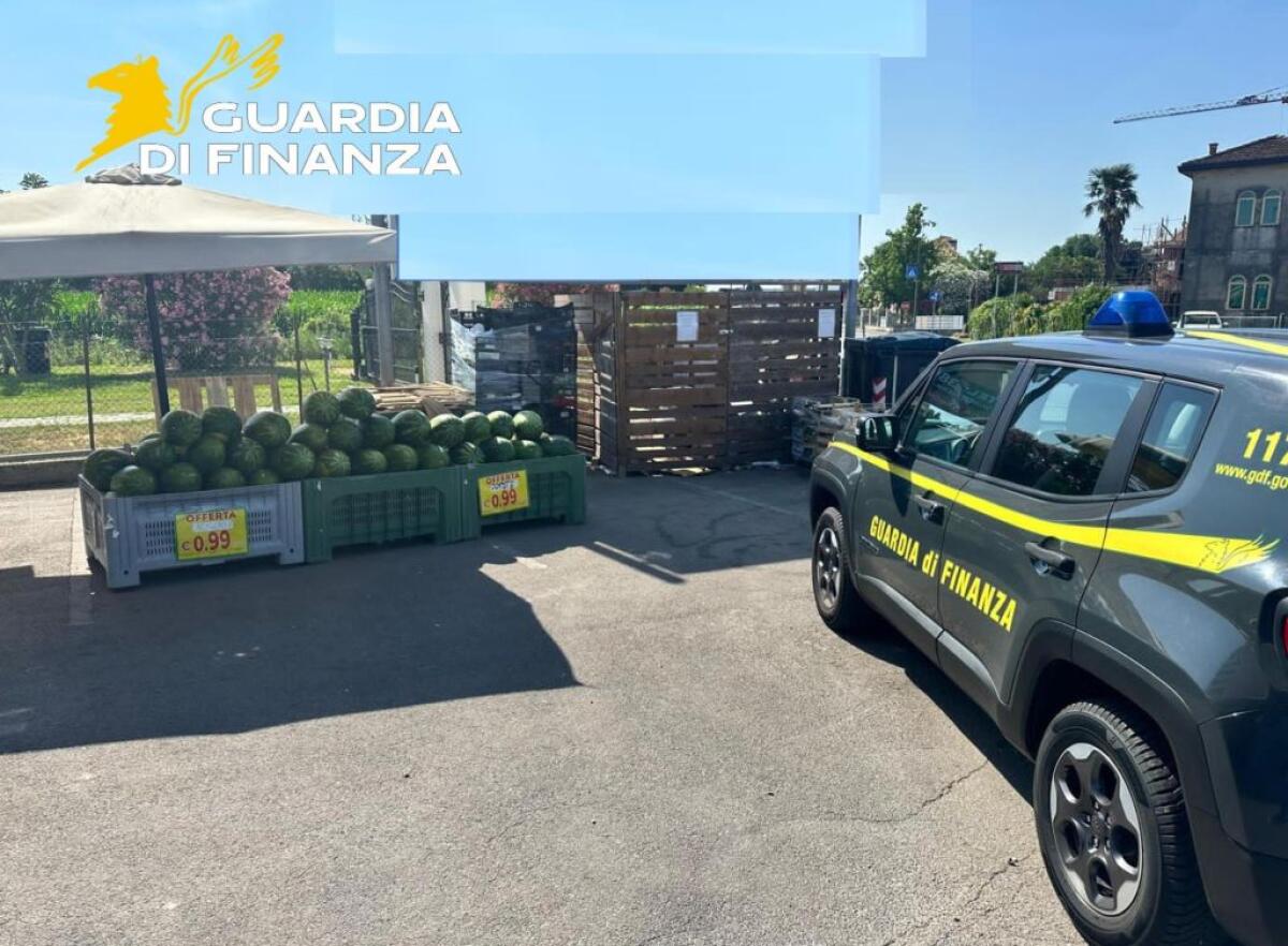 Sequestrati a Rovigo 450 kg di carne scaduta e 3 tonnellate di verdura marcia - 
