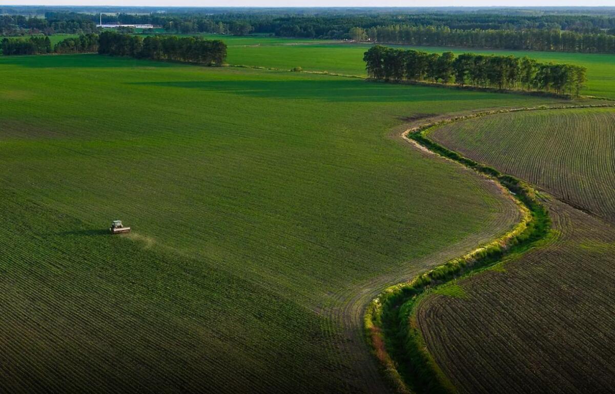 Portavoce Cina, pronti a facilitare commercio agricolo bilaterale con Usa - 